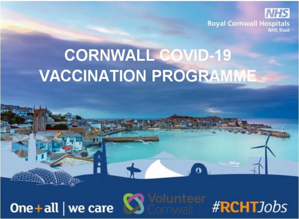 VOLUNTEER AT THE MASS COVID VACCINATION SITES