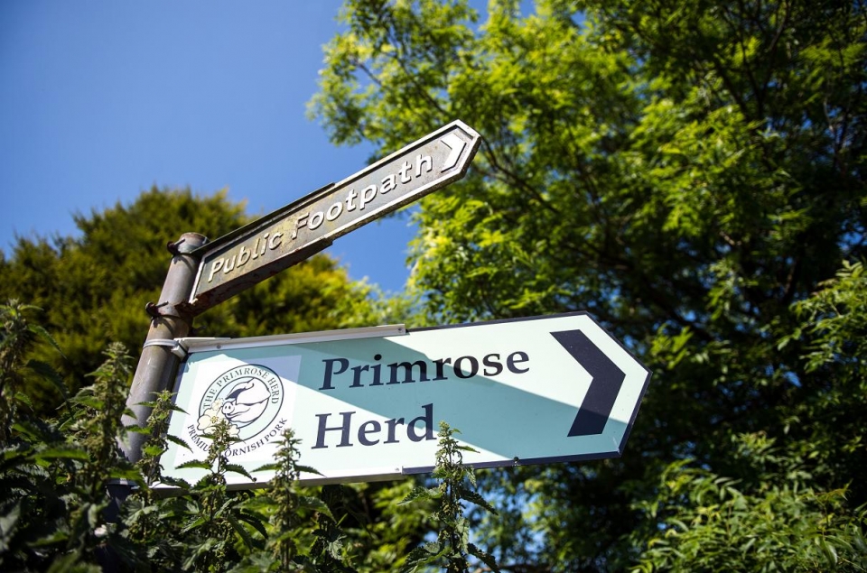 Primrose Herd moves HQ to Newham